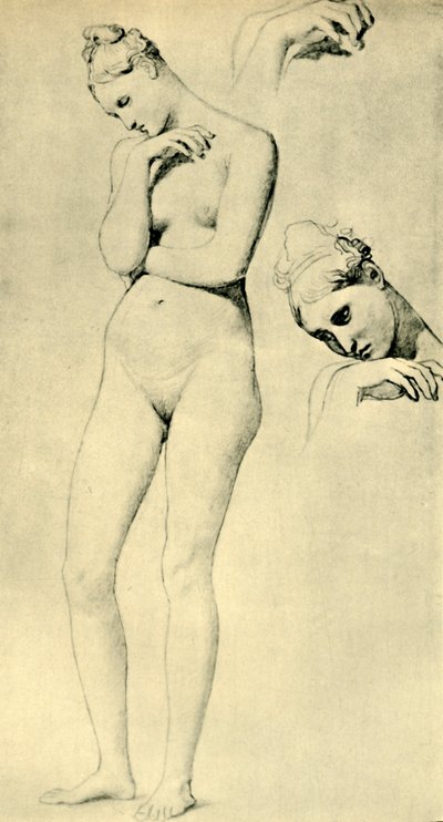 Studi per la figura di Stratonice da Jean Auguste Dominique Ingres