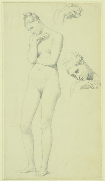 Studi per la figura di Stratonice, 1834-40 circa (matita su carta) da Jean Auguste Dominique Ingres