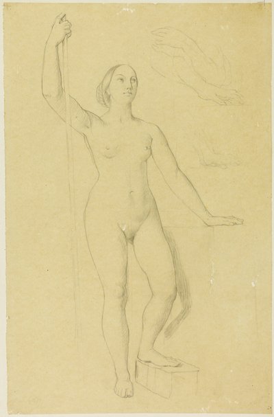 Studio per Giovanna d
