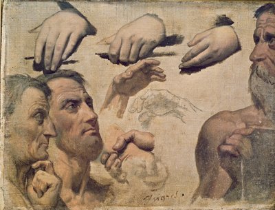 Studio di teste e mani per l