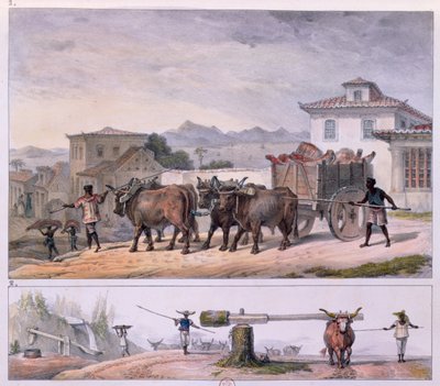 Trasporto di carne e addomesticamento di un bue da Jean Baptiste (after) Debret
