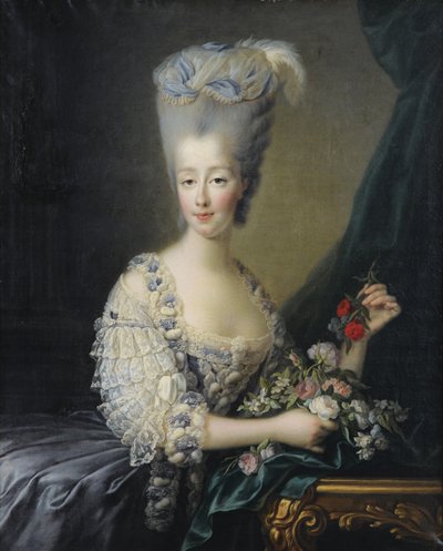 Principessa Maria Teresa di Savoia 1756-1805, Contessa d