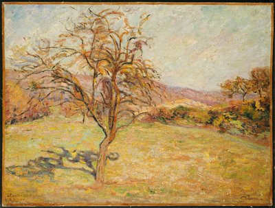 Paesaggio, 1890 da Jean Baptiste Armand Guillaumin