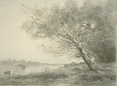Albero piegato vicino all