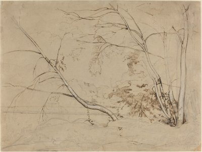 Gruppo di alberi a Civita Castellana da Jean Baptiste Camille Corot