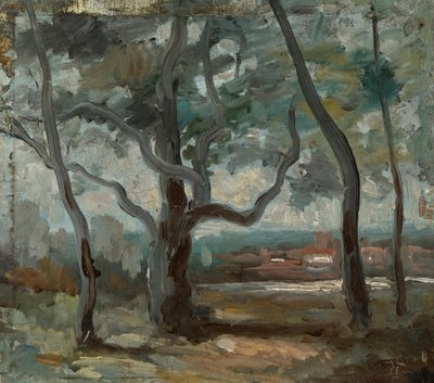 Il grande albero (studio) da Jean Baptiste Camille Corot