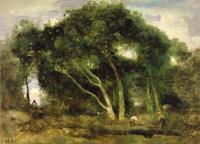 Fontainebleau: Chenes Inclines dans une Eclaircie de Foret, c.1830-40 da Jean Baptiste Camille Corot