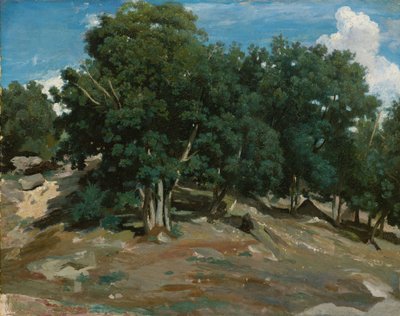 Fontainebleau: querce a Bas-Bréau, 1832-3 da Jean Baptiste Camille Corot