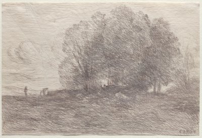 Gruppo di alberi da Jean Baptiste Camille Corot