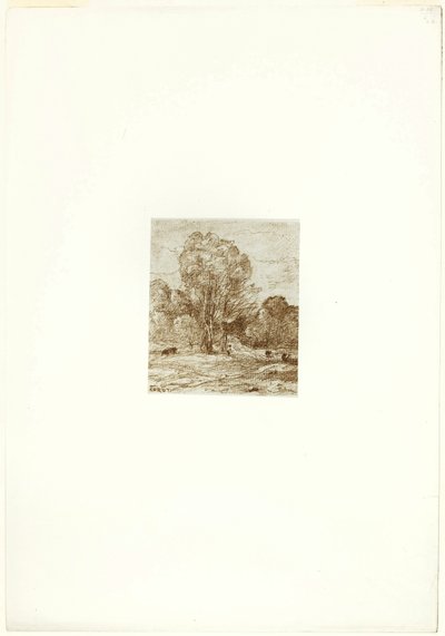 Il pascolo delle mucche da Jean Baptiste Camille Corot