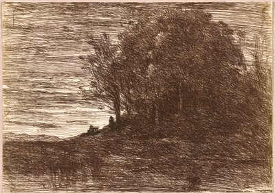 Il bosco dell