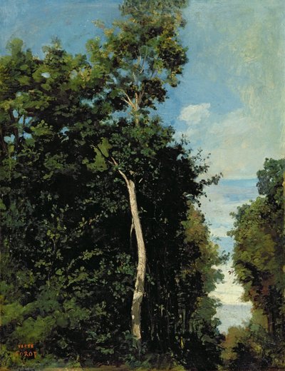 Il Bosco sulla Cote de Grace a Honfleur da Jean Baptiste Camille Corot