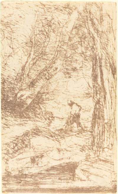 Il taglialegna di Rembrandt Le Bucheron de Rembrandt da Jean Baptiste Camille Corot