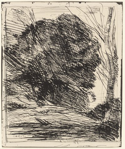 Alberi su un pendio montano da Jean Baptiste Camille Corot