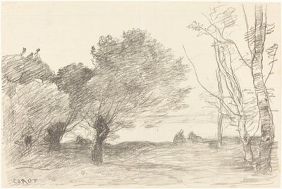 Salici e pioppi bianchi da Jean Baptiste Camille Corot
