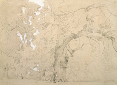 Giovane uomo davanti a una grande quercia, c.1840 da Jean Baptiste Camille Corot