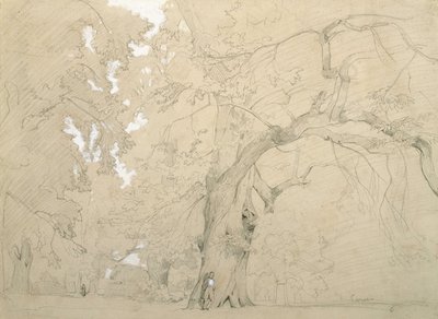 Giovane uomo davanti a una grande quercia da Jean Baptiste Camille Corot