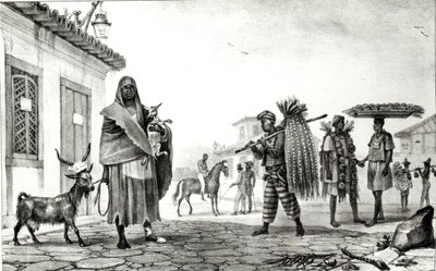 Casa in affitto, cavallo e capra in vendita, da 
