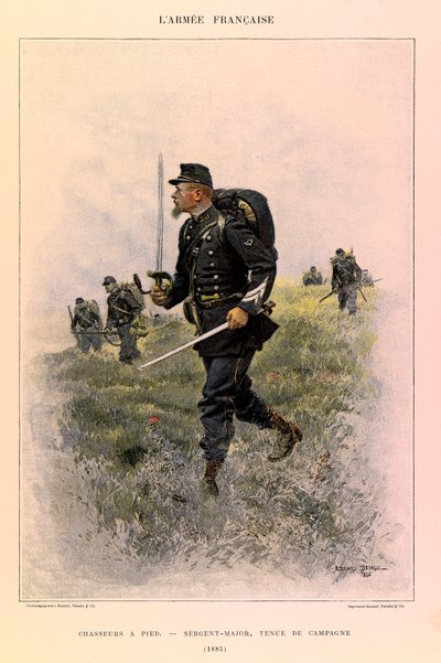 Tipi e uniformi dell