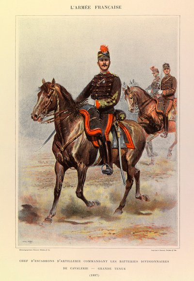 Tipi e uniformi dell