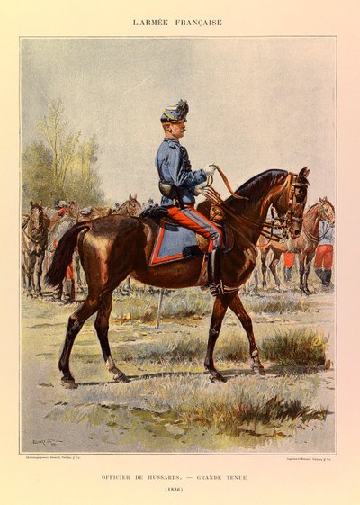 Tipi e uniformi dell