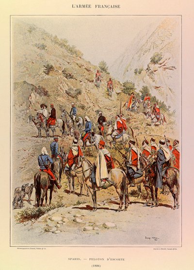 Tipi e uniformi dell