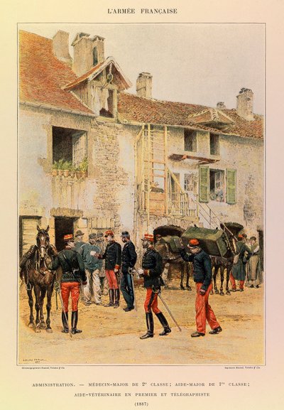 Tipi e uniformi dell