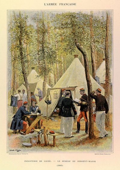 Tipi e uniformi dell