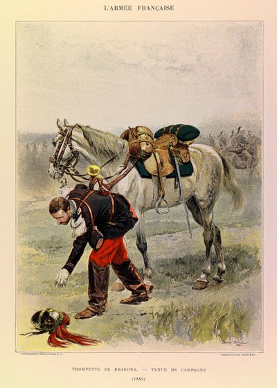 Tipi e uniformi dell