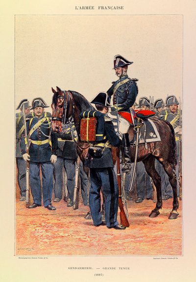 Tipi e uniformi dell