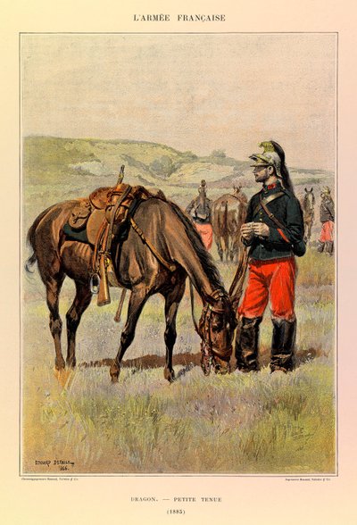 Tipi e uniformi dell
