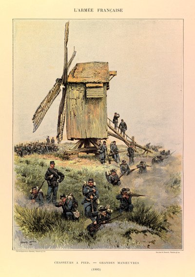 Tipi e uniformi dell