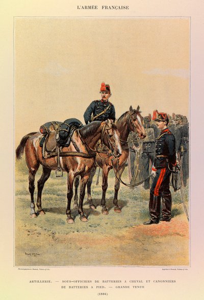 Tipi e uniformi dell