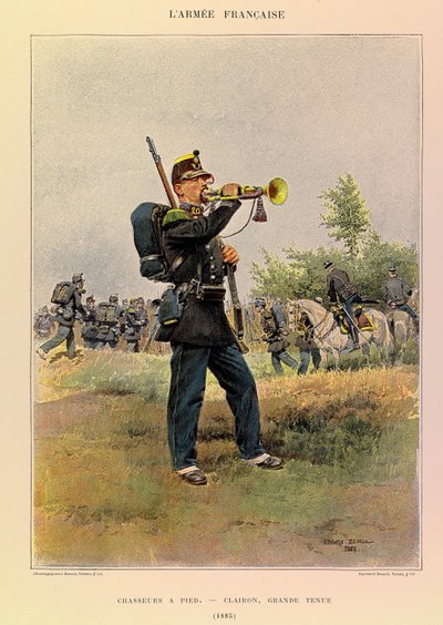 Tipi e uniformi dell