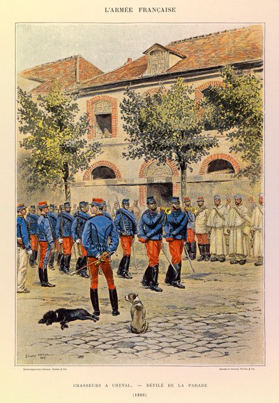 Tipi e uniformi dell