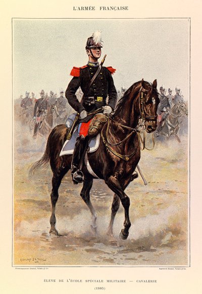 Tipi e uniformi dell