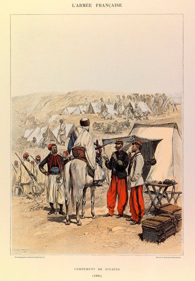 Tipi e uniformi dell
