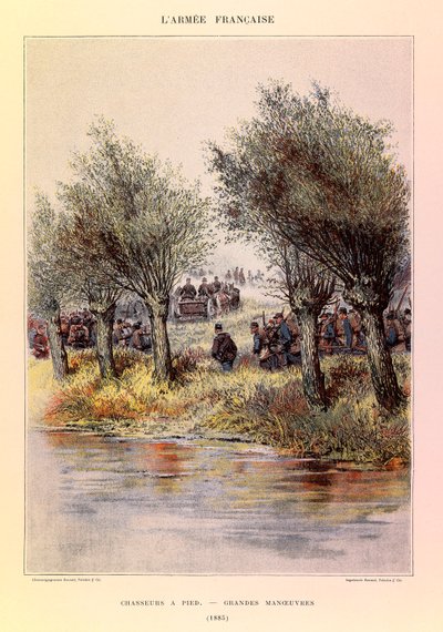 Tipi e uniformi dell