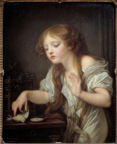 Giovane ragazza esitante a toccare un uccello per paura che sia morto da Jean Baptiste Greuze