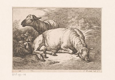 Due pecore da Jean Baptiste Huet (le vieux)
