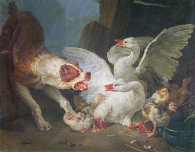 Un Cane che Attacca le Oche da Jean Baptiste Huet