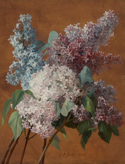 Uno studio sui lillà da Jean Baptiste Huet