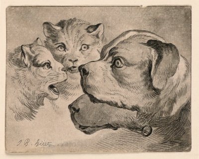Teste di gatti e cani da Jean Baptiste Huet