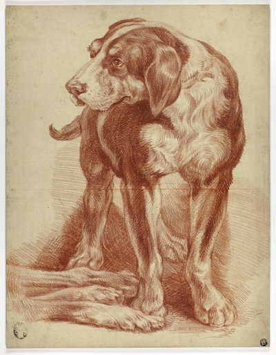 Mastino in piedi da Jean Baptiste Huet