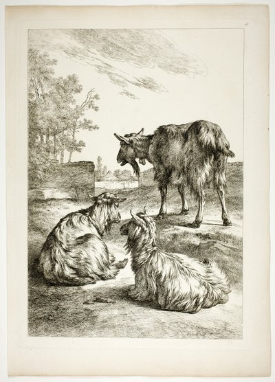 Tavola diciotto di 38 da Oeuvres de J. B. Huet da Jean Baptiste Huet