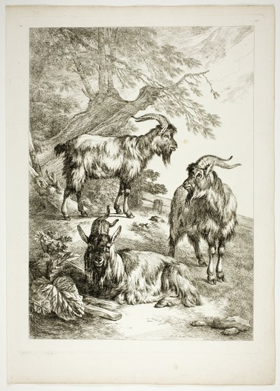Tavola diciassette di 38 da Oeuvres de J. B. Huet da Jean Baptiste Huet