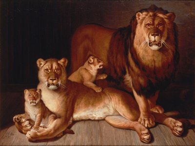 Orgoglio di leoni da Jean Baptiste Huet