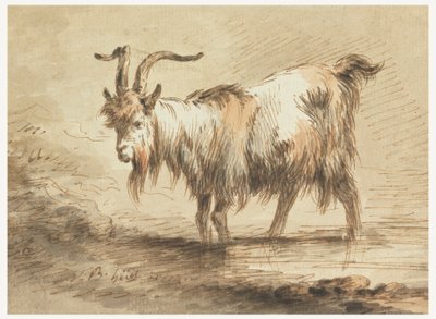 Studio di una capra da Jean Baptiste Huet