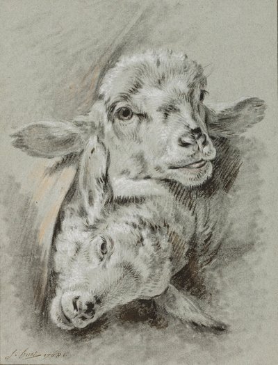 Studio di due pecore, 1768 da Jean Baptiste Huet