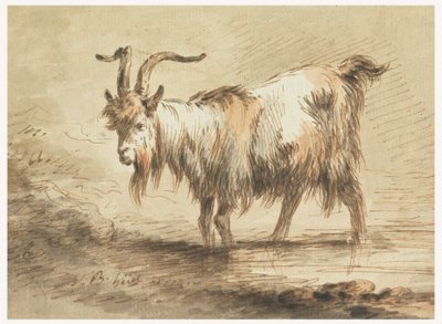 Disegno, Studio di una capra, 1772 da Jean Baptiste Huet